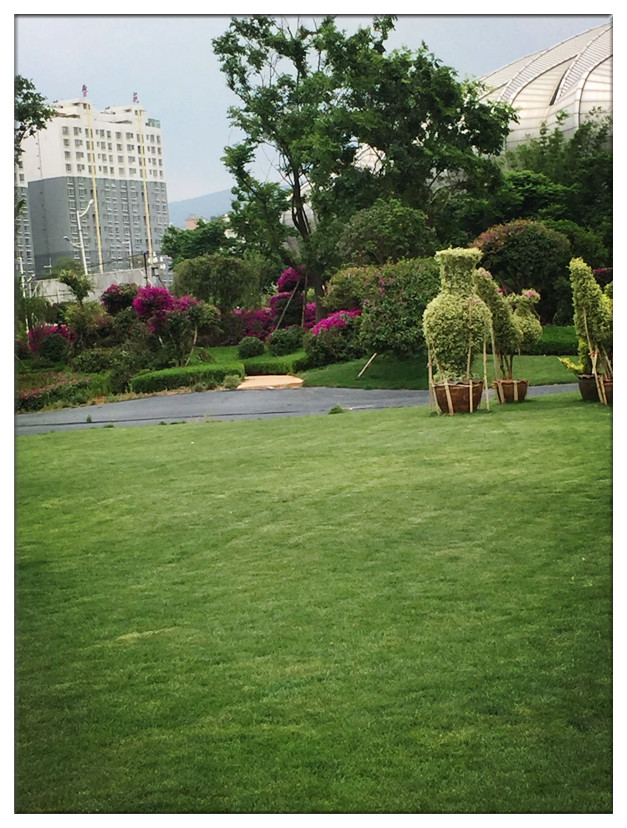 宜良現代農業(yè)產業(yè)園三角梅主題公園一期項目